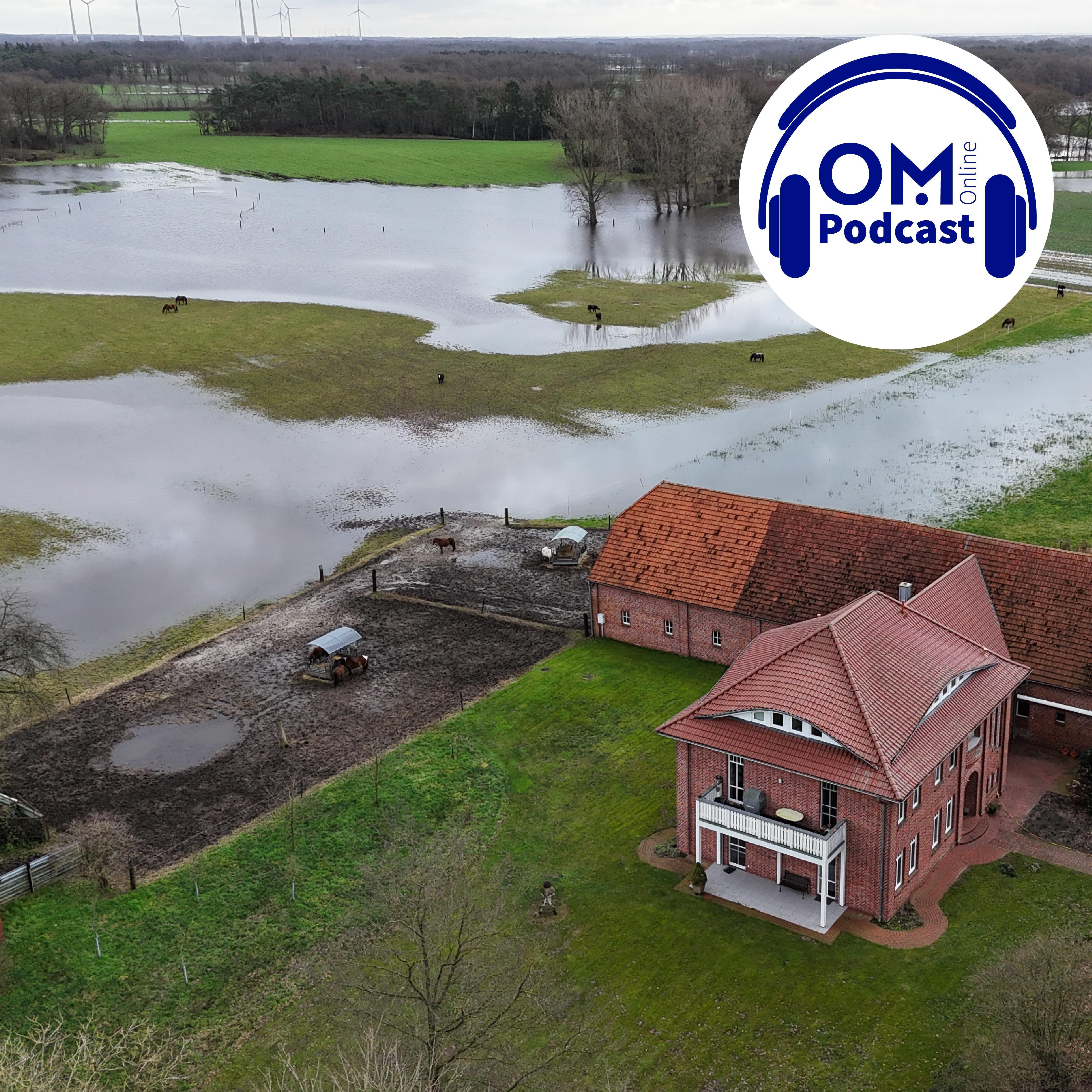 Hochwasser-Spezial: Wie geht es den Landwirten mit ihren überschwemmten Ackerflächen? Episode 141 episode artwork