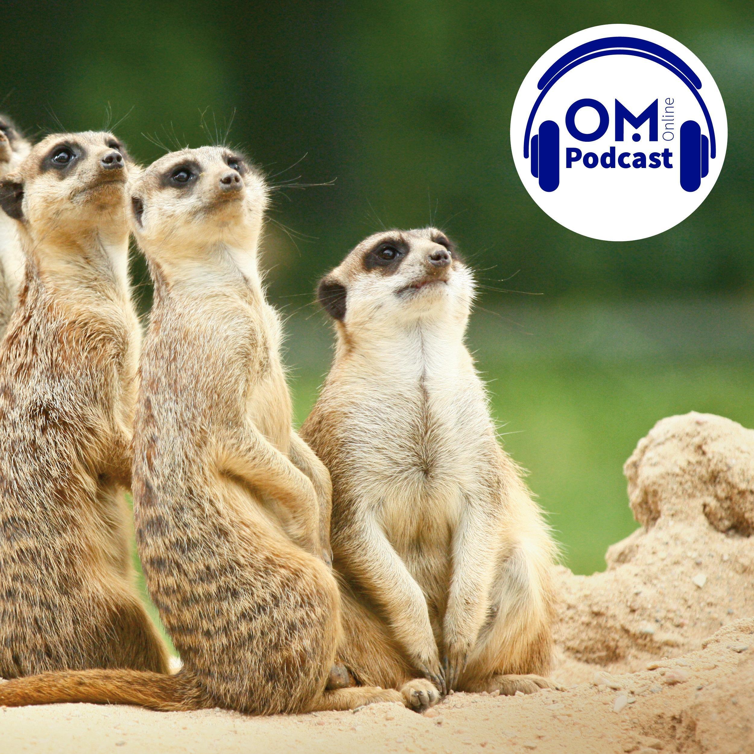 OM-Online-Podcast