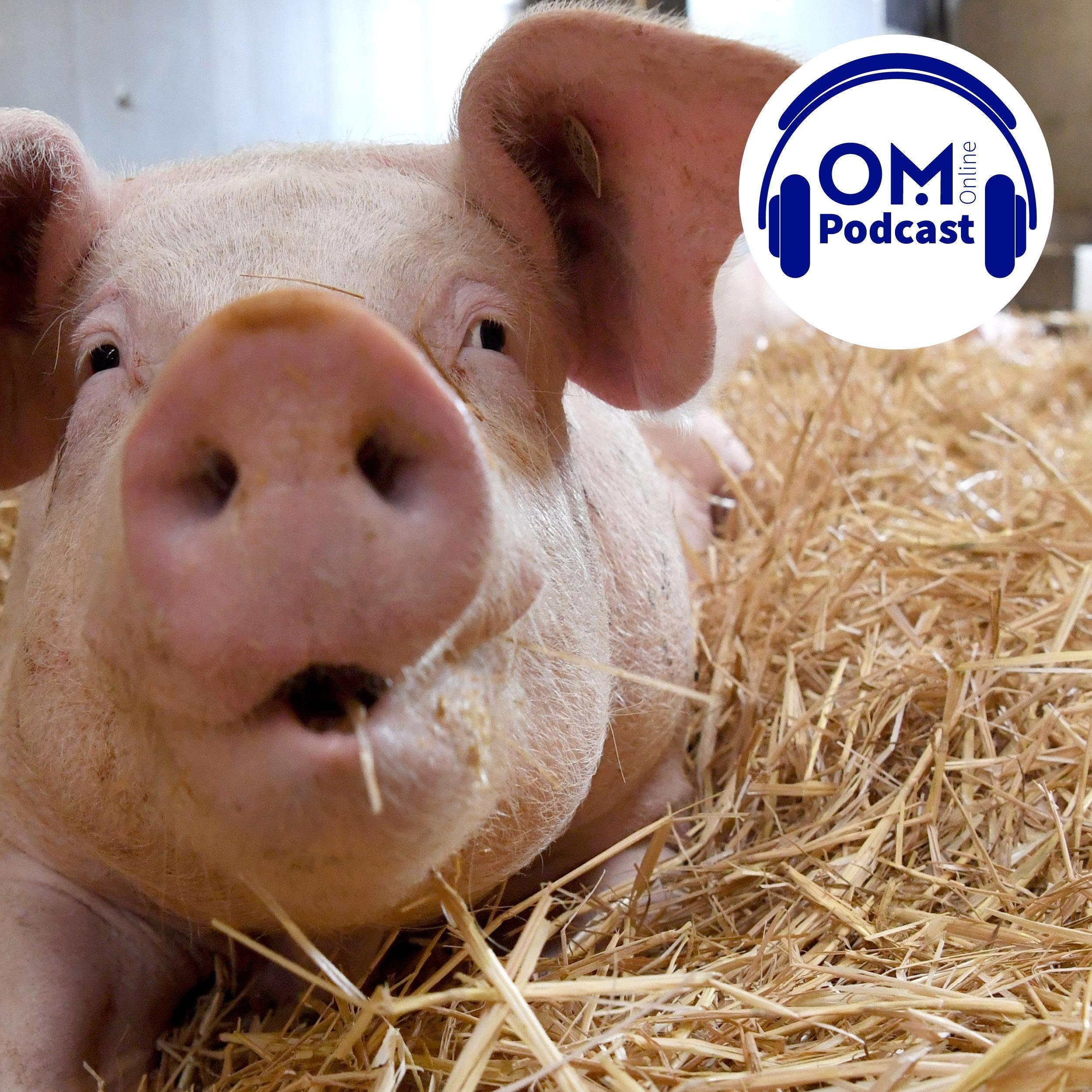 OM-Online-Podcast