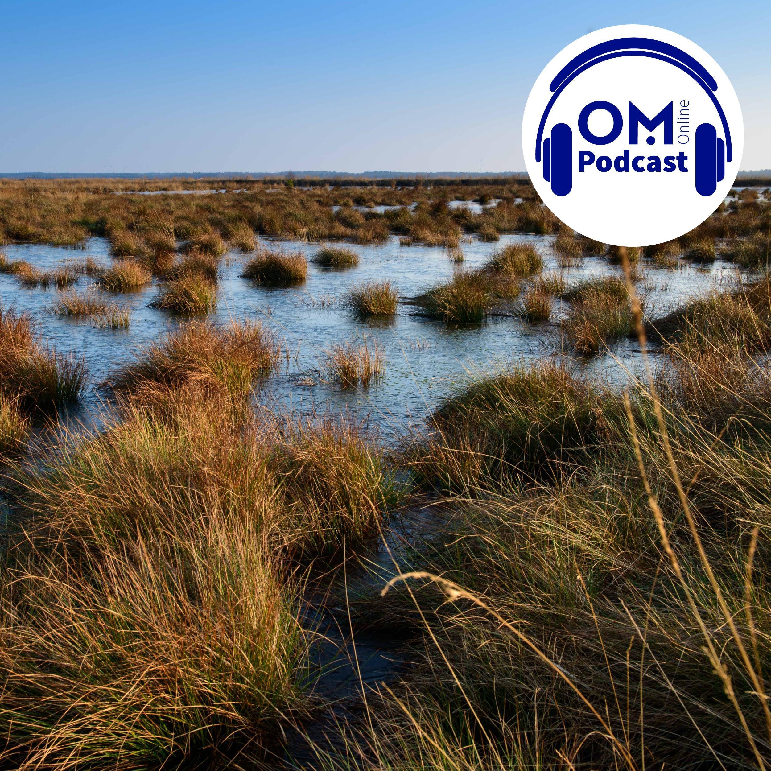 OM-Online-Podcast