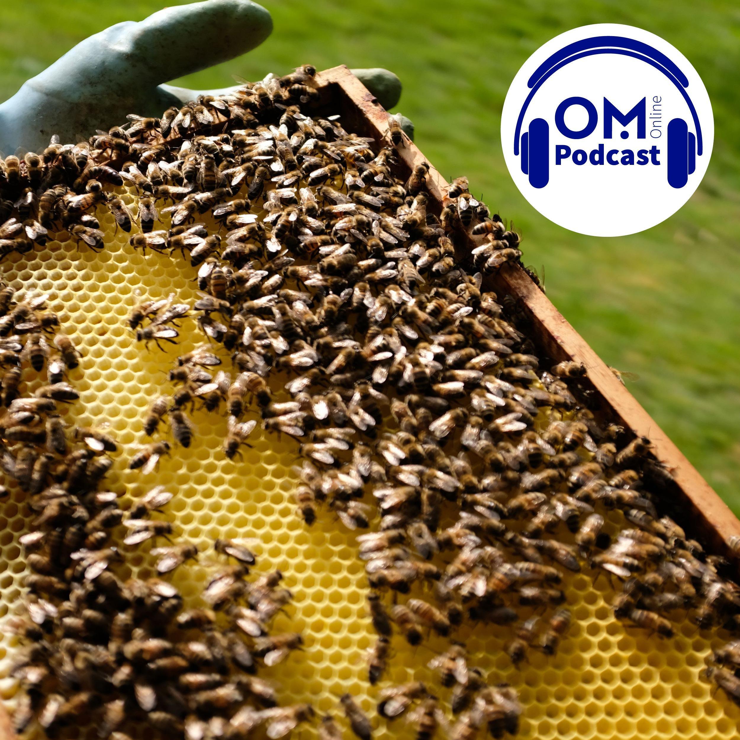 OM-Online-Podcast