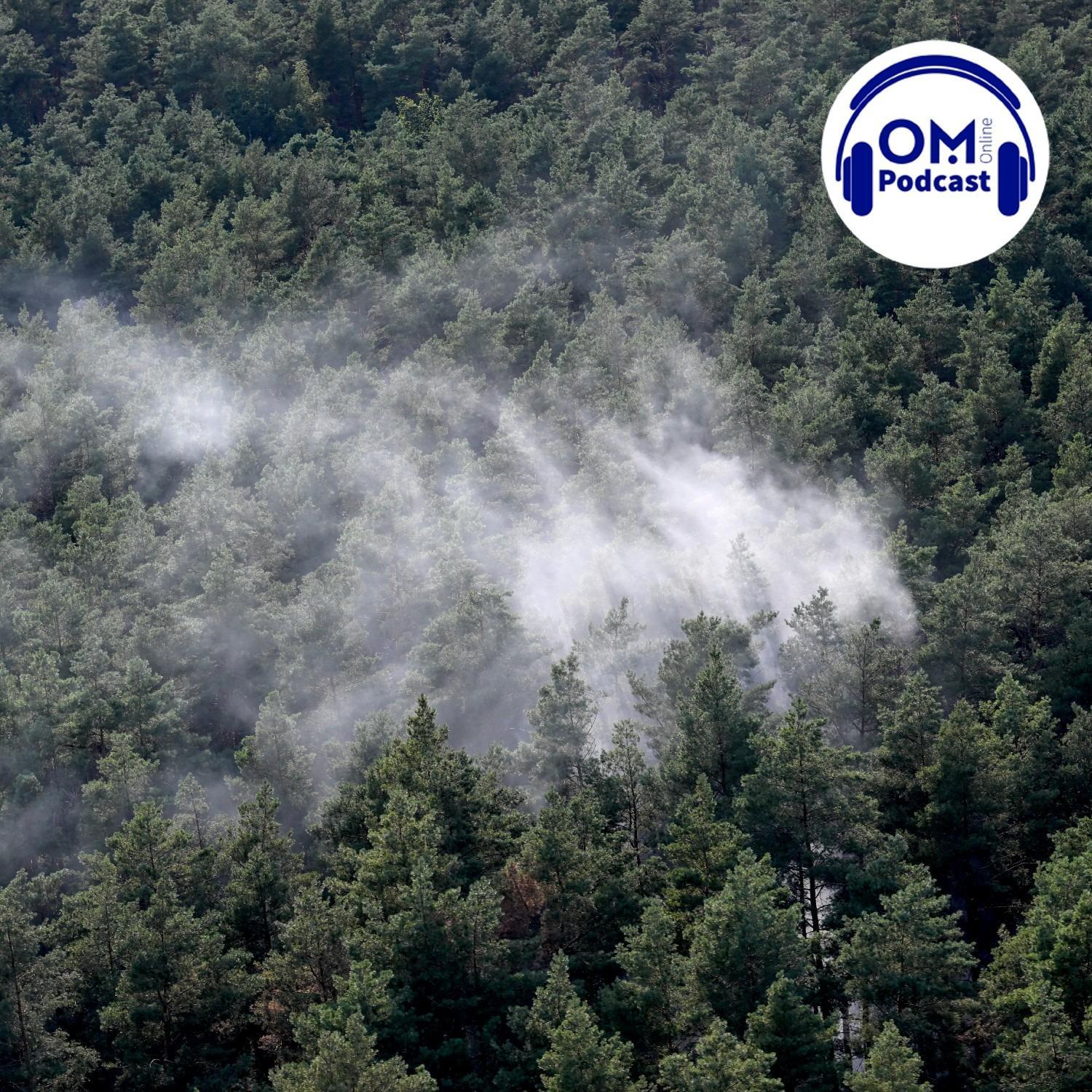 OM-Online-Podcast