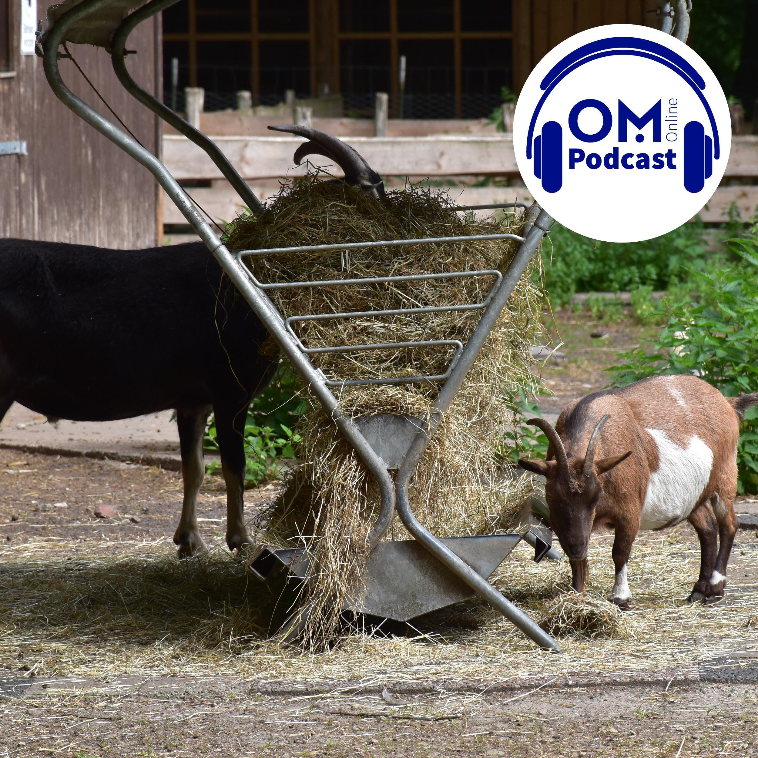OM-Online-Podcast