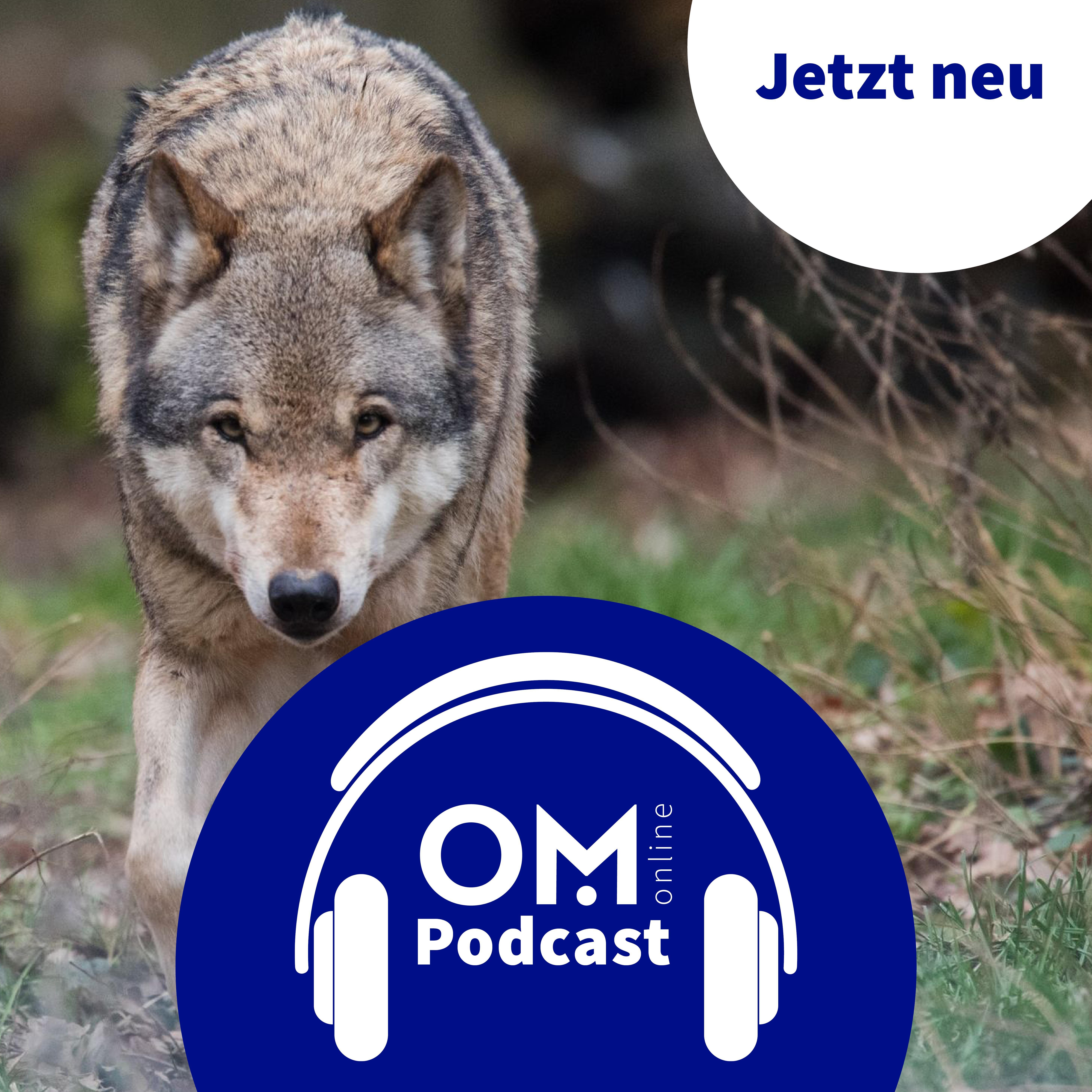 OM-Online-Podcast