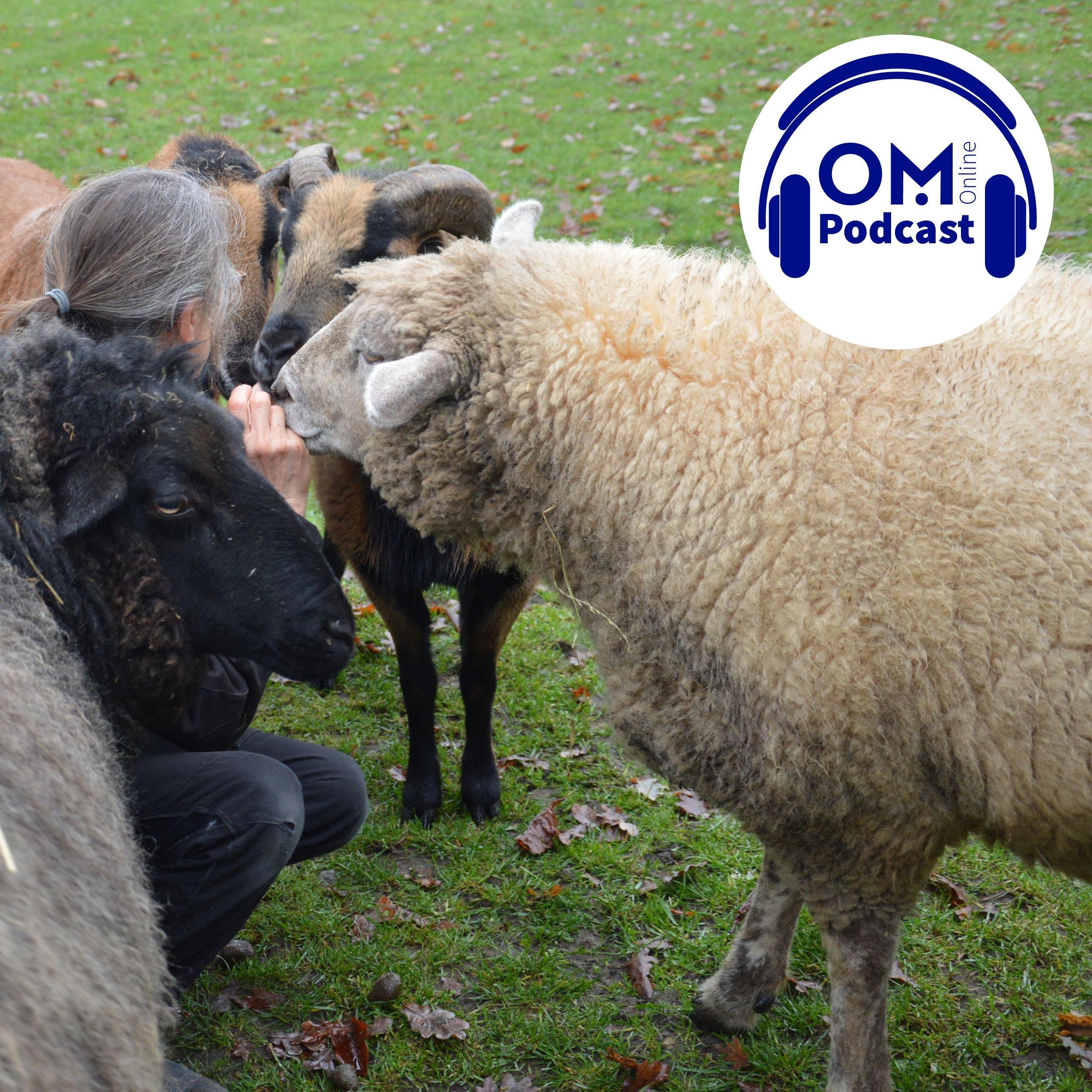 OM-Online-Podcast